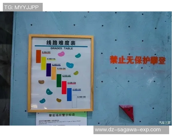 吴秀英的攀岩人生:在高峰之上与自我对话的深度探索 吴秀英的攀岩人生:在高峰之上与自我对话的深度探索